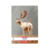 Poza cu CAIET A5 48F 70G/MP VELIN ANIMALS