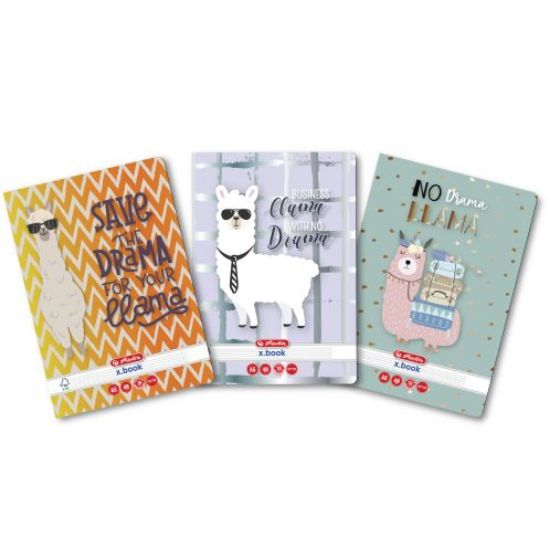 Poza cu CAIET A5 48F DICTANDO LLAMA