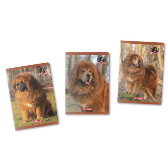 Poza cu CAIET A5 48F DICTANDO MOTIV BOSS PHANTOM