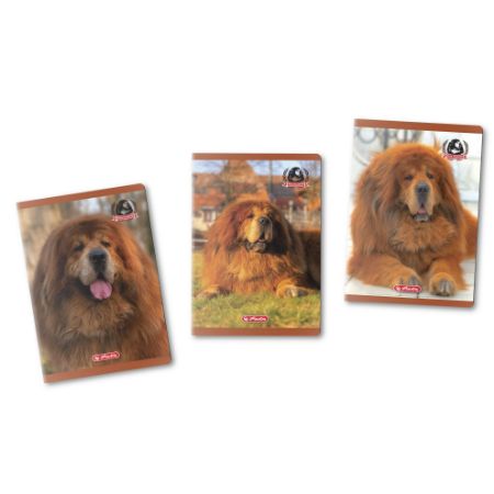 Afișează detalii pentru CAIET A5 48F PATRATELE MOTIV BOSS PHANTOM Poza cu CAIET A5 48F PATRATELE MOTIV BOSS PHANTOM