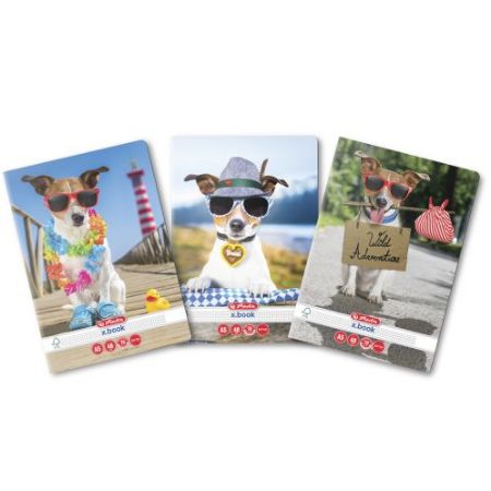 Poza cu CAIET A5 48F PATRATELE COOL DOG