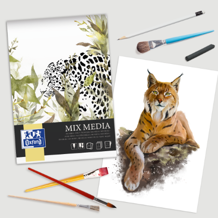 Afișează detalii pentru BLOC DESEN OXFORD MIX MEDIA A4, 25 FILE, HARTIE 225 G/MP, FSC® MIX70%, COLECTIA ARTISTIC Poza cu BLOC DESEN OXFORD MIX MEDIA A4, 25 FILE, HARTIE 225 G/MP, FSC® MIX70%, COLECTIA ARTISTIC