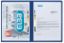 Poza cu DOSAR SINA ELBA SMART A4, MECANISM DUBLU DE ARHIVARE, SINA DREAPTA/STANGA, CARTON 320G/MP, BLUE ANGEL, CAPACITATE 200 FILE, CULOARE ALBASTRU