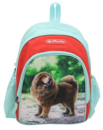 Afișează detalii pentru RUCSAC, COOL, DIMENSIUNE, 31X20X12 CM, MOTIV BOSS PHANTOM RED Poza cu RUCSAC, COOL, DIMENSIUNE, 31X20X12 CM, MOTIV BOSS PHANTOM RED