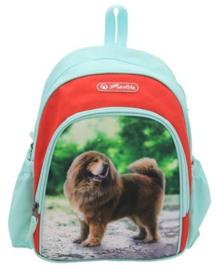 Poza cu RUCSAC, COOL, DIMENSIUNE, 31X20X12 CM, MOTIV BOSS PHANTOM RED