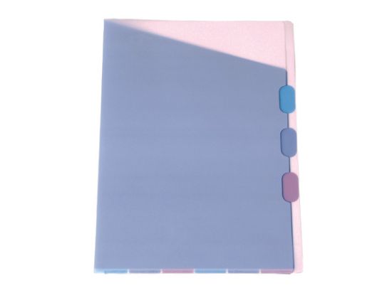 Poza cu Dosar plastic cu separatoare (deschidere in L)