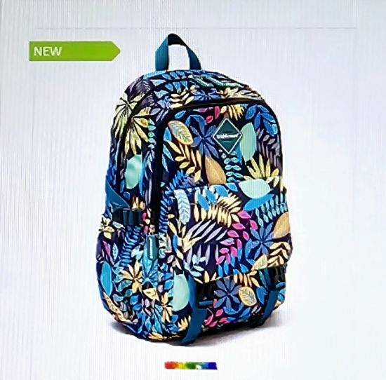 Poza cu Ghiozdan 2 compartimente 24Ltr Scool Line Night Forest