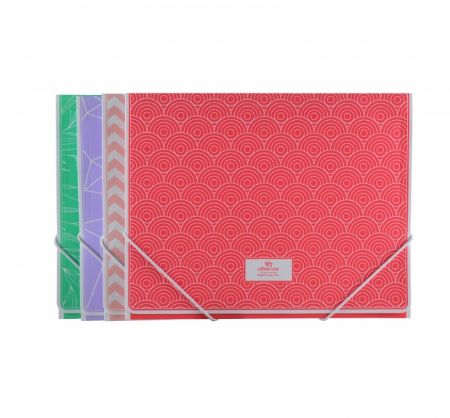 Poza cu Mapa plastic A4+  cu elastic OFFICE BOX  NORTH GLACE