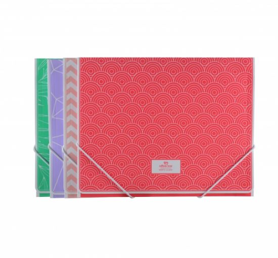 Poza cu Mapa plastic A4+  cu elastic OFFICE BOX  NORTH GLACE