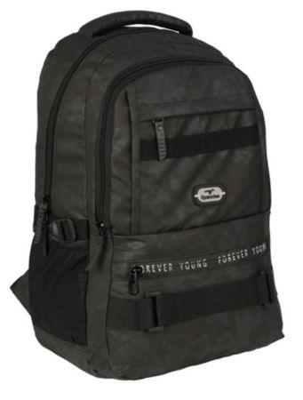 Poza cu Ghiozdan FOREVER YOUNG cu 2 compartimente si 2 buzunare exterioare cu fermoar 46 x 34 x 27cm VERNIL METALIC