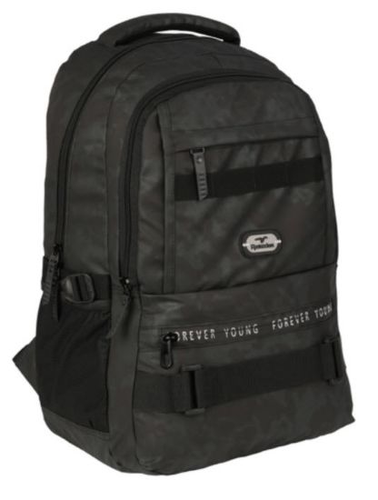 Poza cu Ghiozdan FOREVER YOUNG cu 2 compartimente si 2 buzunare exterioare cu fermoar 46 x 34 x 27cm VERNIL METALIC