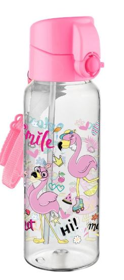 Poza cu Sticla pentru pastrarea lichidelor destinata scolarilor. Capacitate 550ml.