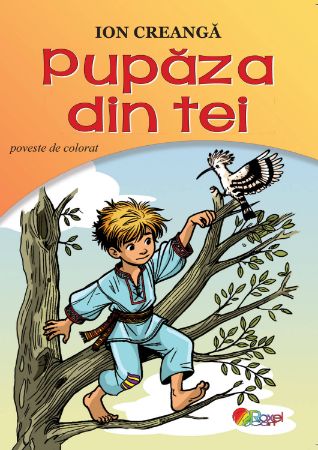 Poza cu Pupaza din tei