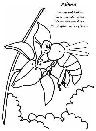 Poza cu Haideti sa coloram - Animale