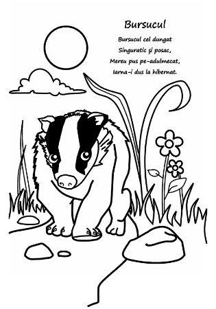 Poza cu Haideti sa coloram - Animale