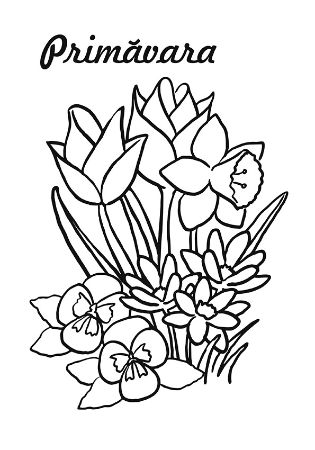 Poza cu Haideti sa coloram si sa ne jucam printre anotimpuri