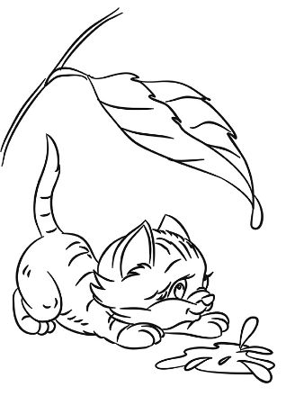 Poza cu Haideti sa coloram - Pentru fetite