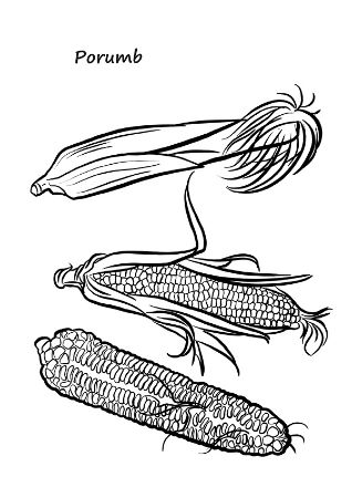 Poza cu Haideti sa coloram - Fructe si legume