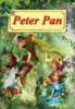 Poza cu Peter Pan-Poveste ilustrata