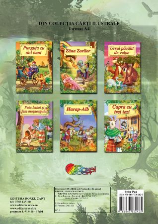 Poza cu Peter Pan-Poveste ilustrata