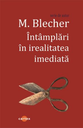 Poza cu Intamplari in irealitatea imediata-M. Blecher