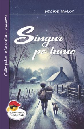 Poza cu Singur pe lume-Hector Malot