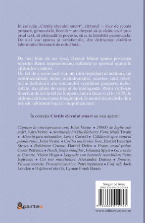 Poza cu Singur pe lume-Hector Malot