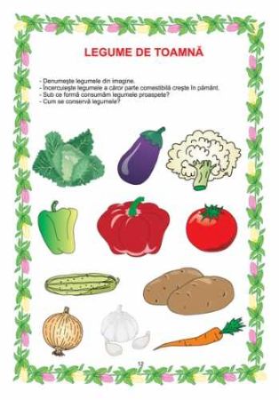 Poza cu Domeniul STIINTE /  CUNOASTEREA MEDIULUI - grupa mare