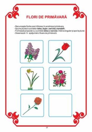 Poza cu Domeniul LIMBA SI COMUNICARE - grupa mica