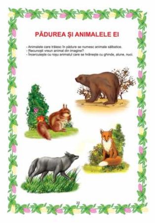 Poza cu Domeniul STIINTE / CUNOASTEREA MEDIULUI - grupa mica