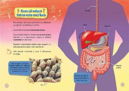 Poza cu Ce se intampla cand mananc ?
