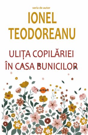 Poza cu Ulita copilariei. In casa bunicilor