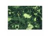 Poza cu Puzzle Fosforescent - Jungla