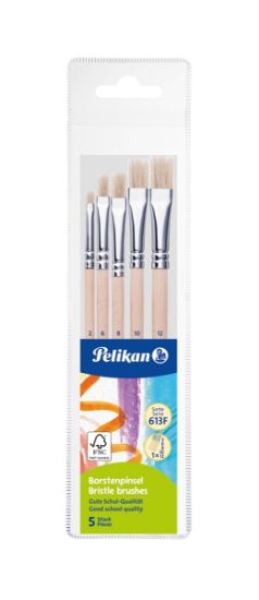 Poza cu SET 5 PENSULE STARTER (SERIA 613F:2,4,8,10,12) BLISTER