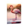 Poza cu CAIET A5 48F 70G/MP VELIN ANIMALS
