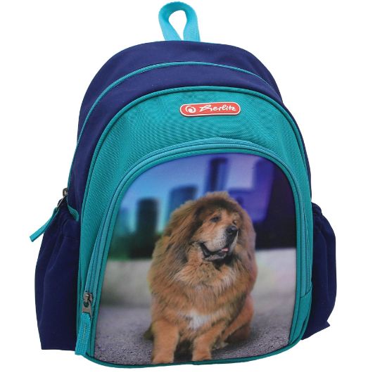 Poza cu RUCSAC COOL 31X20X12CM BOSS PHANTOM